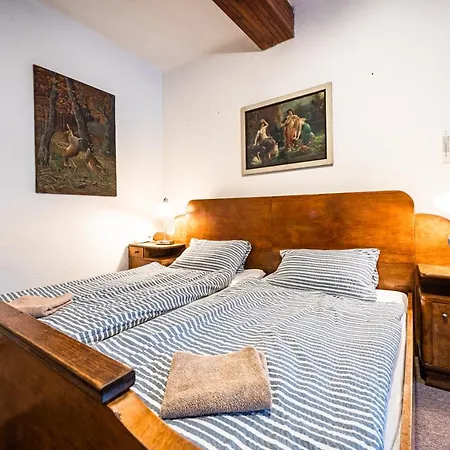 Chalet Hajenka Harrachov